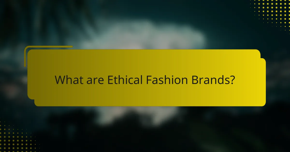 What are Ethical Fashion Brands?