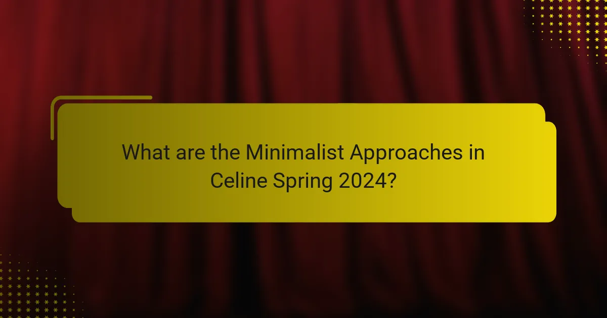 What are the Minimalist Approaches in Celine Spring 2024?